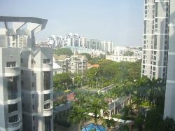 the-bayshore photo thumbnail #6